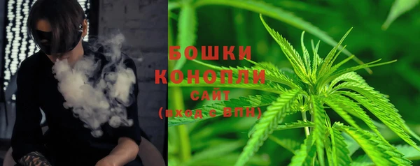 PSILOCYBIN Армянск
