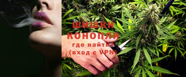 PSILOCYBIN Армянск