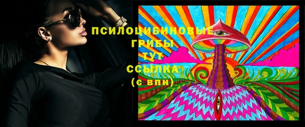 PSILOCYBIN Армянск