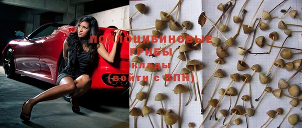 PSILOCYBIN Армянск