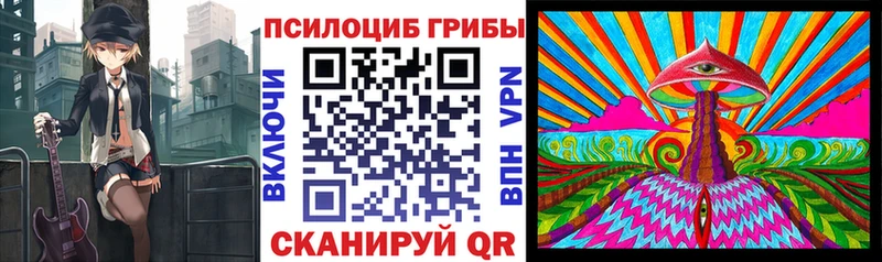 где найти наркотики Севск Псилоцибиновые грибы ЛСД
